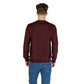 Sweatshirt Antony Morato