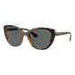 Brown Injected Sunglasses