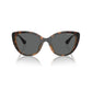 Brown Injected Sunglasses