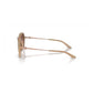 Brown Injected Sunglasses