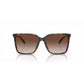 Brown Acetate Sunglasses