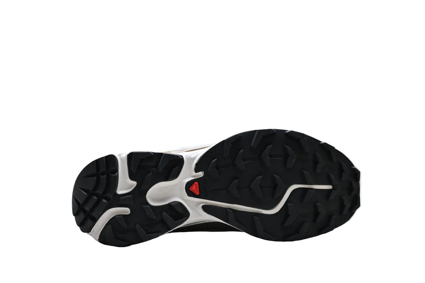 Salomon XT-6
